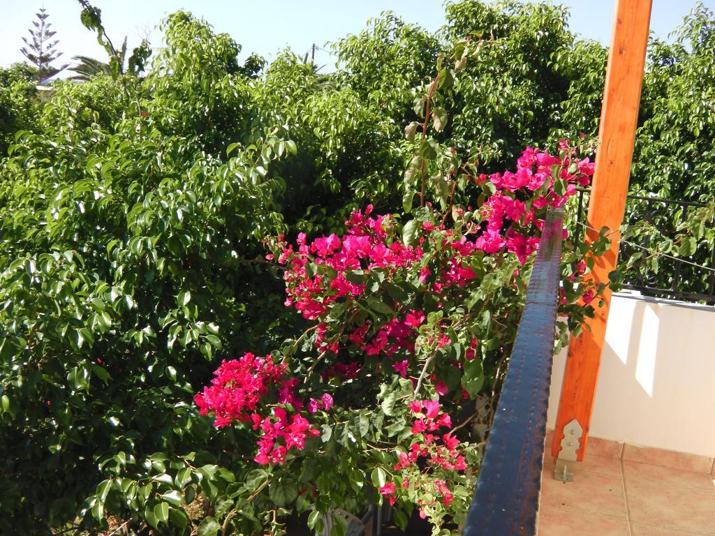 Serenity Hideaway Palaiochora Rum bild